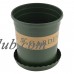 Plastic Cylinder Shape Flowerpot Plant Planter Container Green 1 Gallon w Tray   
